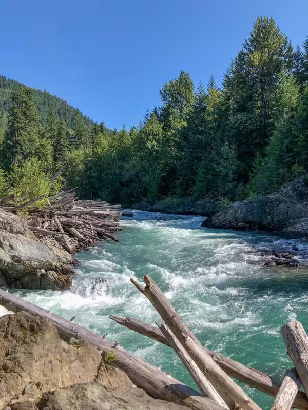 Image with river in the front and trees in the background